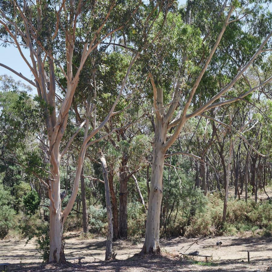 Eastern Hill Creswick 호텔 외부 사진